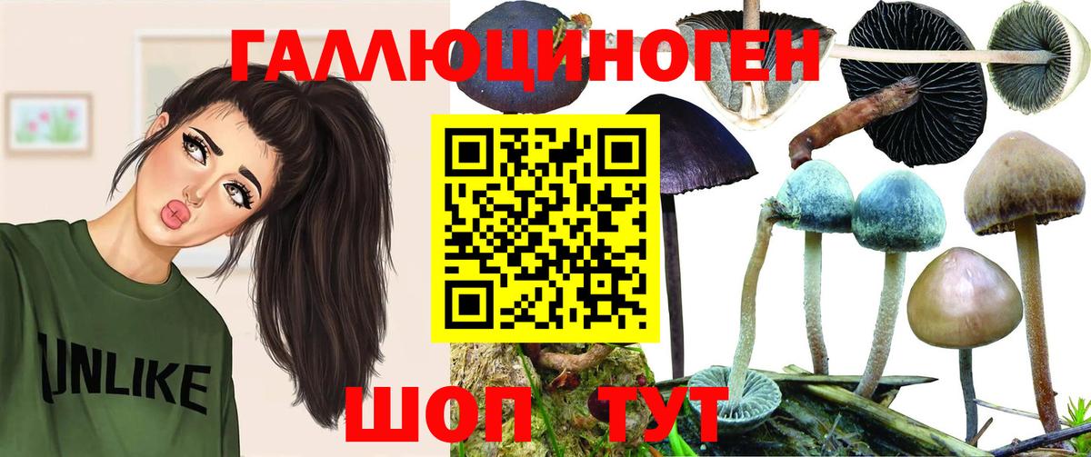 купить наркоту  Вход с VPN  Вятские Поляны  Псилоцибиновые грибы MAGIC MUSHROOMS 