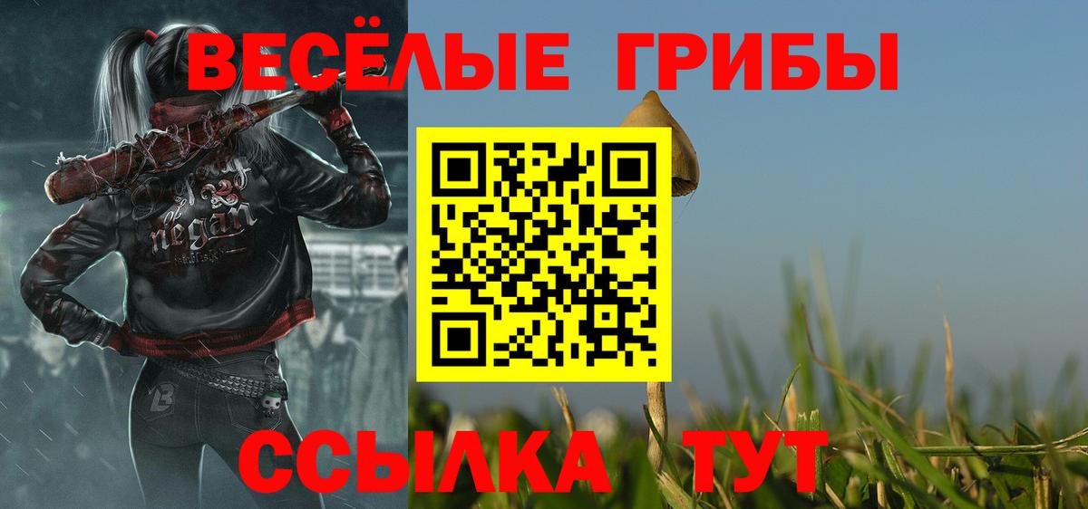 Псилоцибиновые грибы ЛСД Вятские Поляны